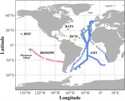 Ecophysiological basis of spatiotemporal patterns in picophytoplankton pigments in the global ocean